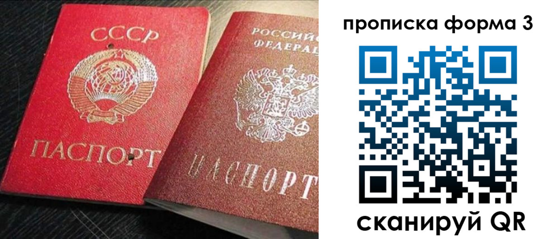 временная регистрация поиск в Нижнекамске